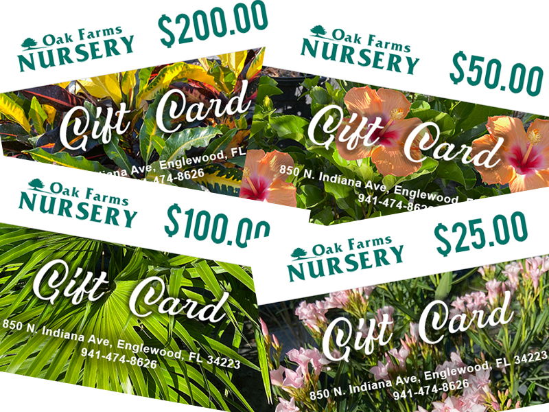 giftcard assortment